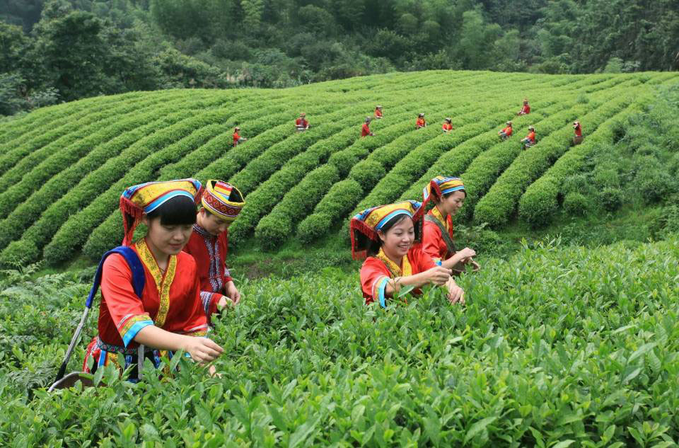轮播图