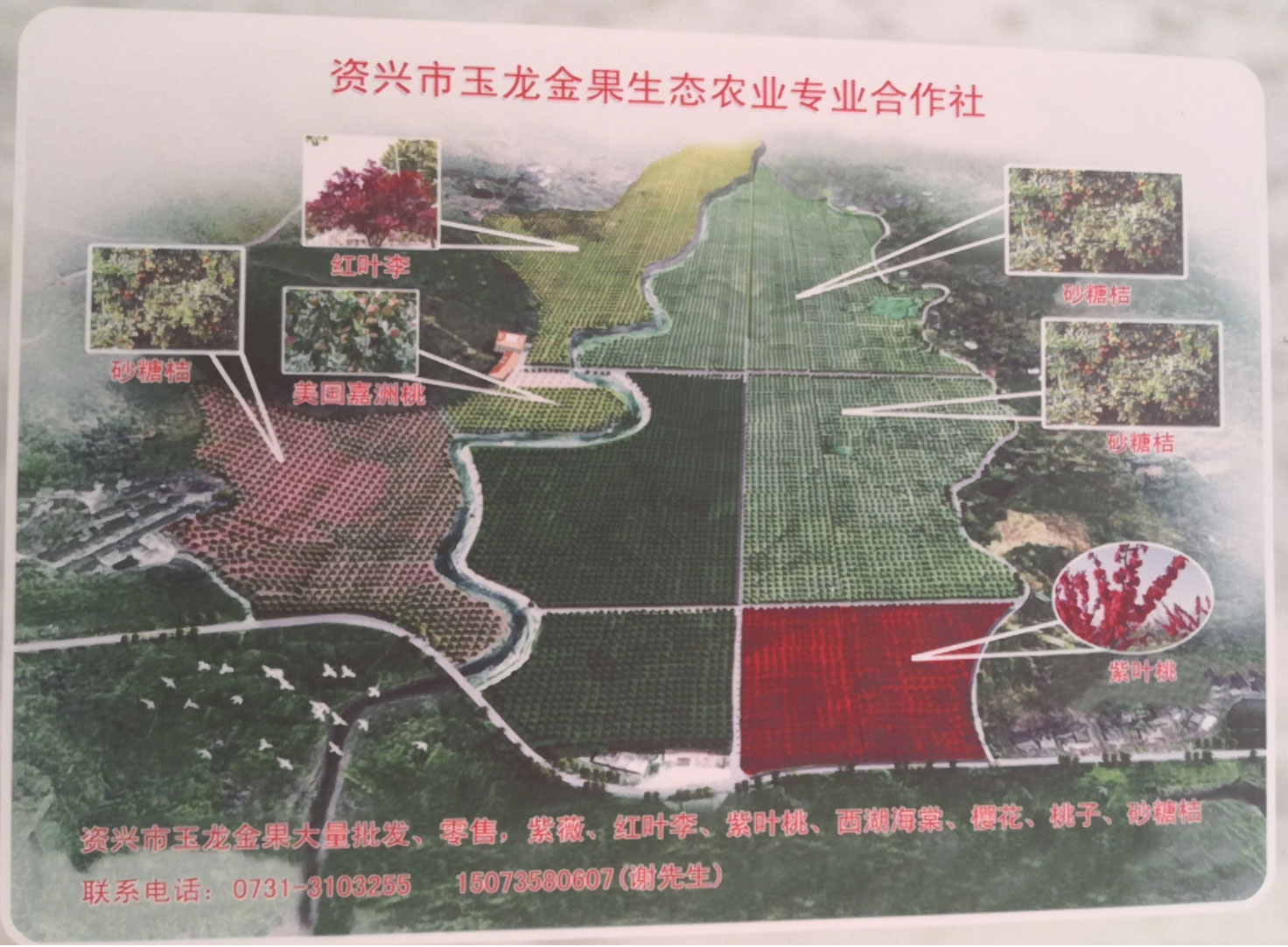 轮播图
